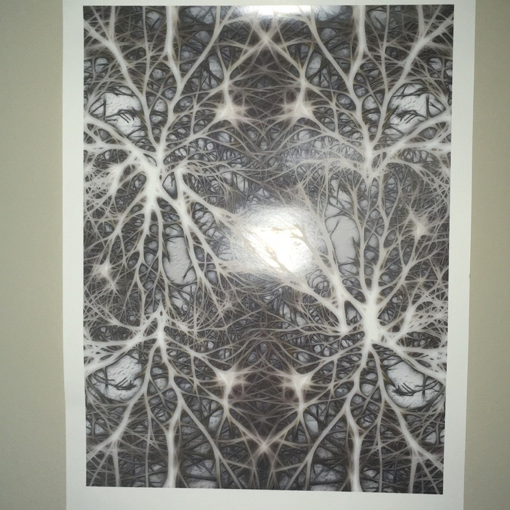 Neuron Poster 23” x 16”